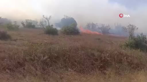 Karacabey’de makilik alanda orman yangını