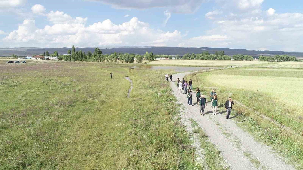 KARS VE ARDAHAN’DA 52 BİN HEKTARLIK ALANDA ARAZİ TOPLULAŞTIRMA İNCELEMESİ(KARS-İHA)