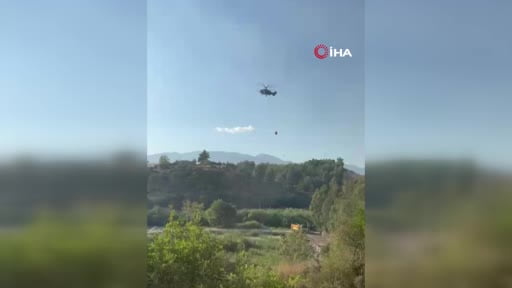 Kaş'daki yangında koyunlar ve kaplumbağa böyle kurtarıldı