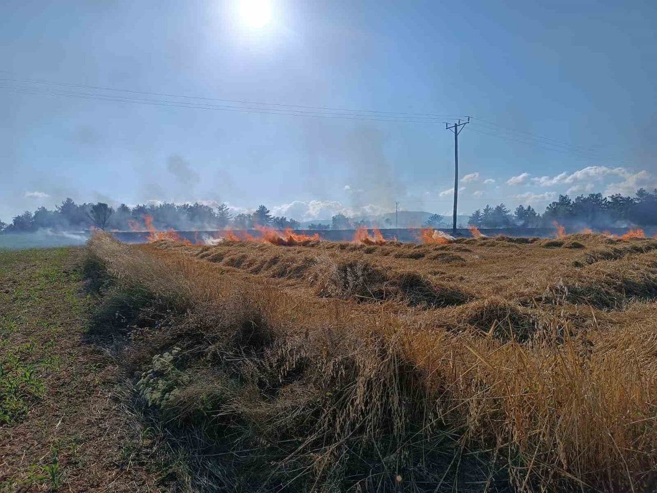 KASTAMONU'NUN DADAY İLÇESİNE BAĞLI UZBANLAR KÖYÜNDE  TARLADA YANGIN ÇIKTI.