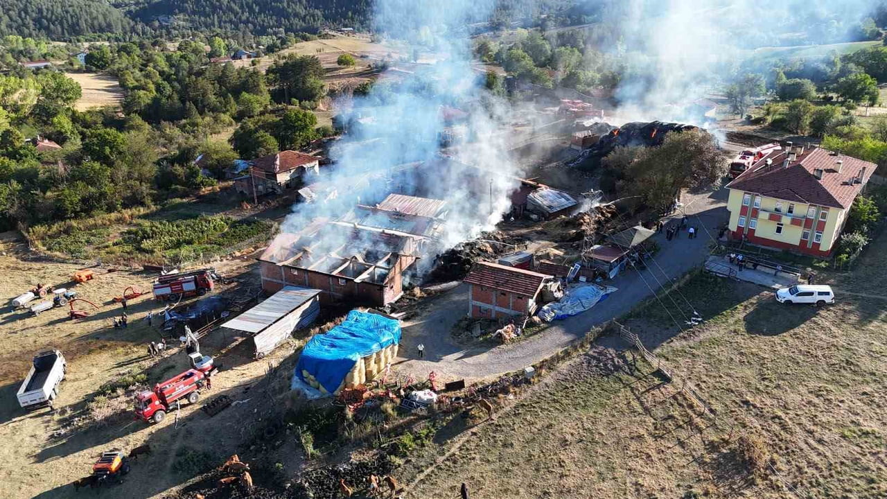 KASTAMONU'NUN İHSANGAZİ İLÇESİNDE ÇIKAN YANGINDA 14 BÜYÜKBAŞ HAYVAN TELEF OLDU, 3 AHIR İLE...