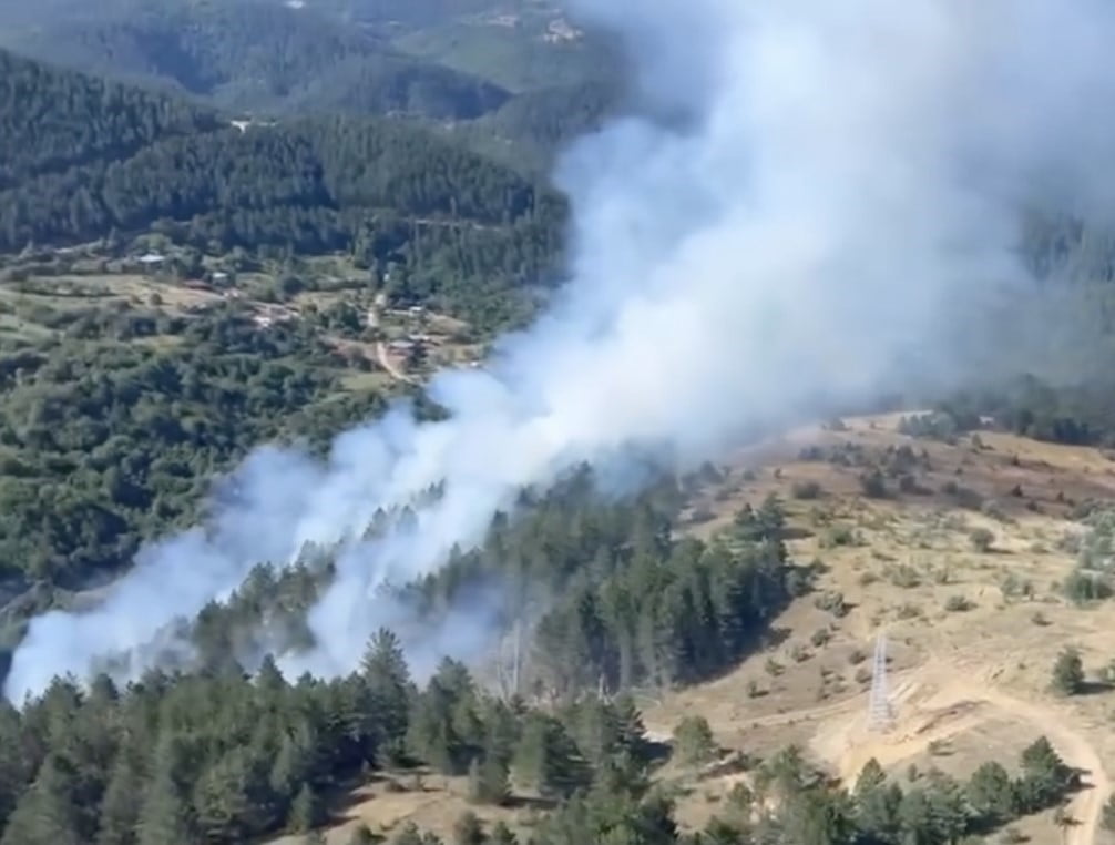 KASTAMONU'NUN TAŞKÖPRÜ İLÇESİNDE ÇIKAN ORMAN YANGINI, HAVADAN VE KARADAN YAPILAN MÜDAHALEYLE...