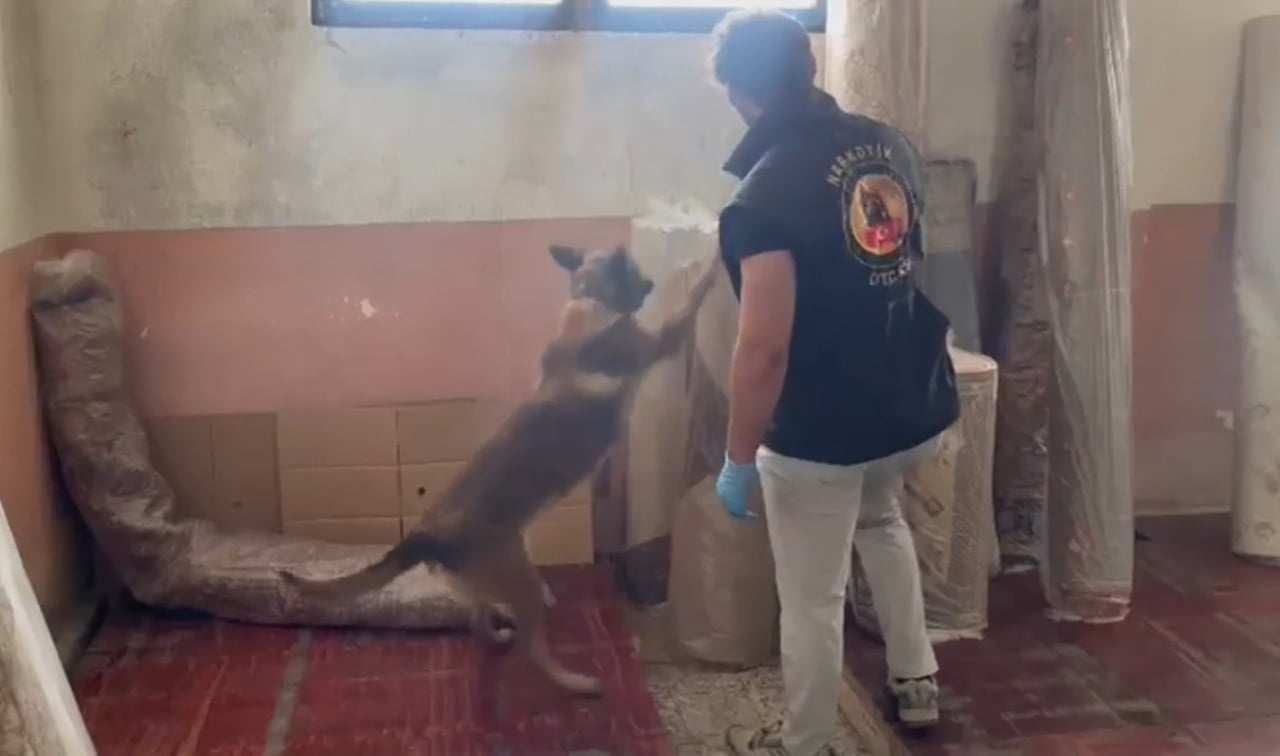 KASTAMONU İL EMNİYET MÜDÜRLÜĞÜ EKİPLERİNCE 19 AYRI ADRESE DÜZENLENEN UYUŞTURUCU OPERASYONUNDA...
