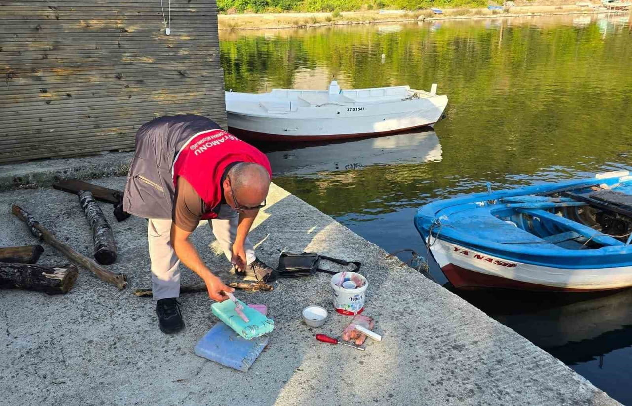 KASTAMONU’NUN ÇATALZEYTİN İLÇESİNDE YASA DIŞI PALAMUT AVCILIĞININ ÖNLENMESİNE YÖNELİK...