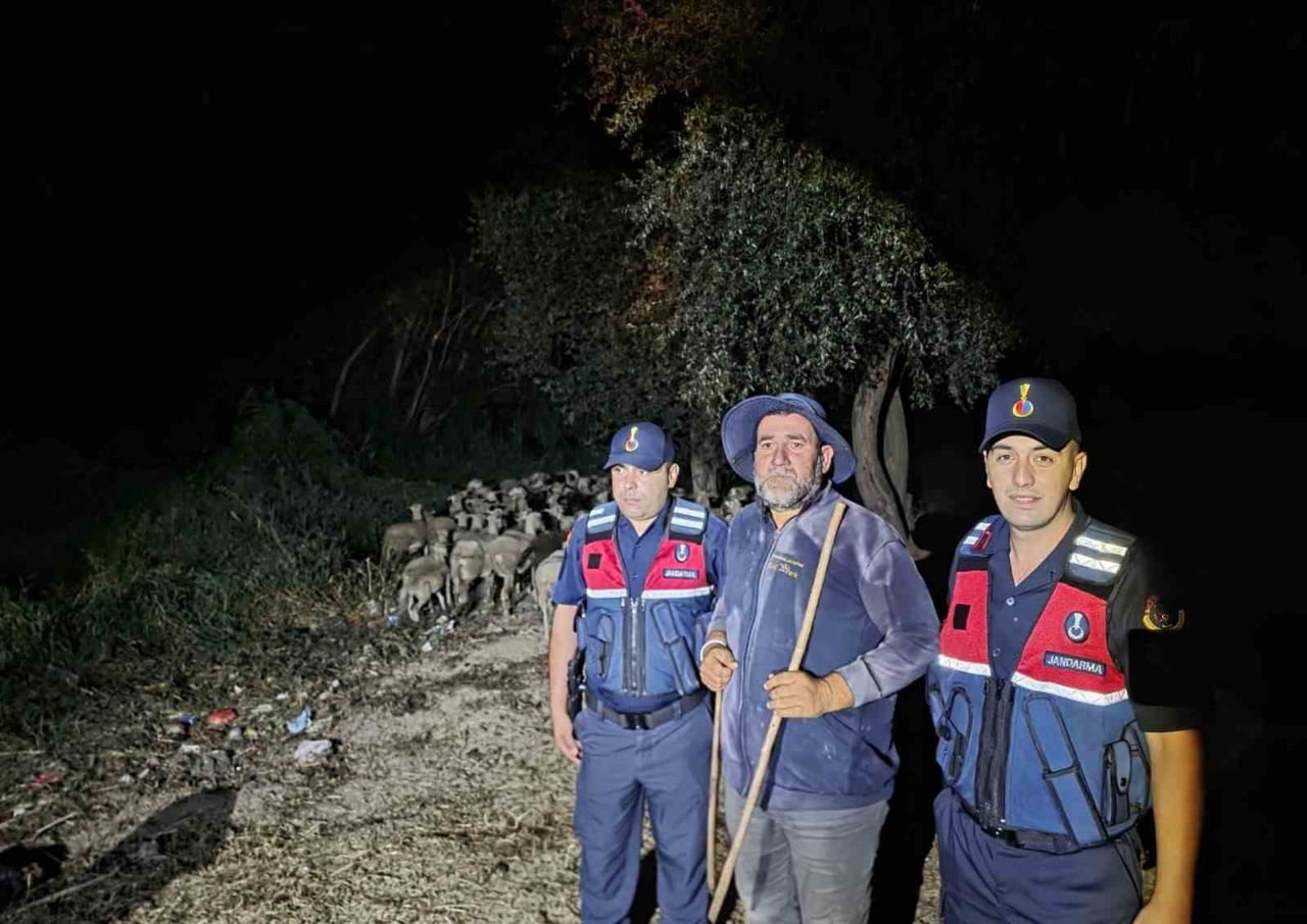 KAYIP ÇOBAN İLE 100 KOYUN BULUNDU