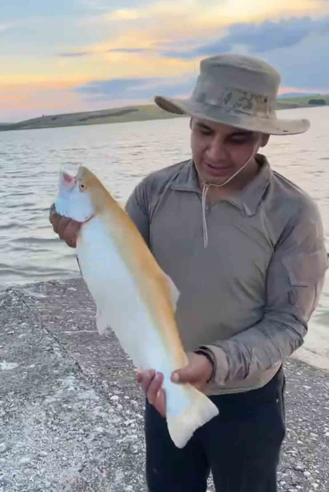 KEBAN BARAJ GÖLÜNDE  SARI RENKLİ ALBİNO ALABALIK YAKALANDI
