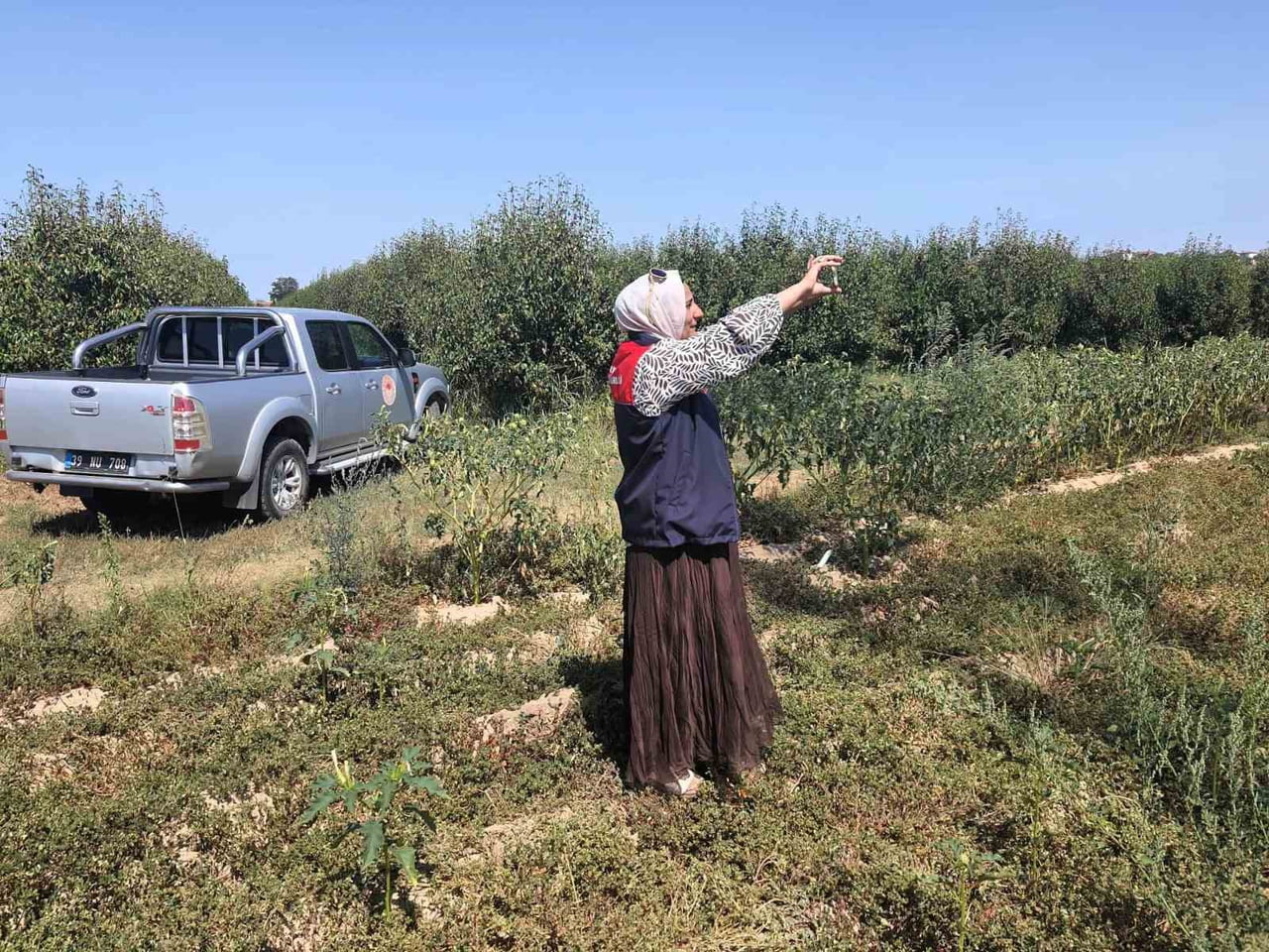KIRKLARELİ’NİN BABAESKİ İLÇESİNDE TARIM ARAZİLERİNİN GÜNCEL KULLANIM DURUMUNUN BELİRLENMESİ...