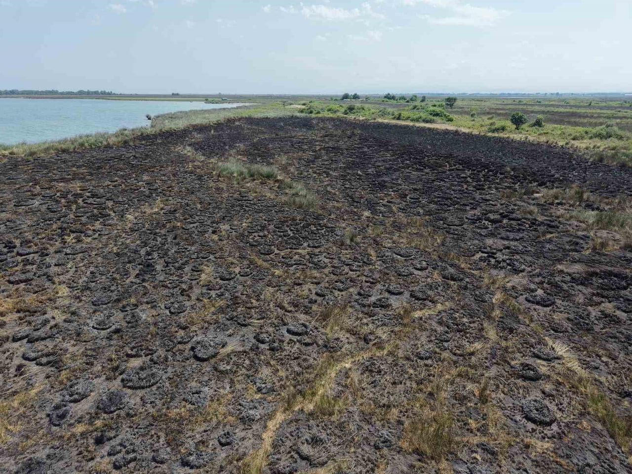 KIZILIRMAK DELTASI KUŞ CENNETİ'NDE DÜN ÇIKAN YANGININ ARDINDAN BÖLGEDE OLUŞAN TAHRİBAT DRONLA...