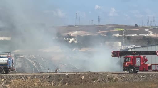 Kocaeli'de kimya fabrikasında çıkan yangında 2 işçi yaralandı 2 at telef oldu