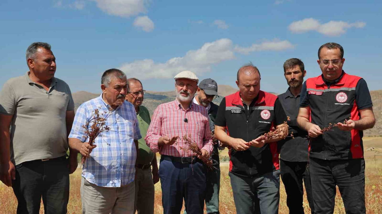 KOCASİNAN BELEDİYESİ, TARIMSAL ÜRETİMİN ÇEŞİTLENDİRİLMESİ, ARICILIĞIN GELİŞTİRİLMESİ VE...