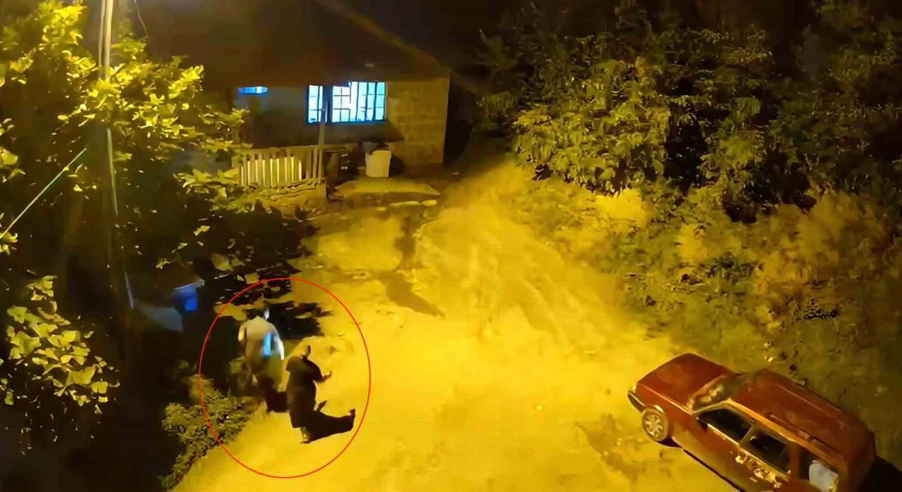 KOYUNCULAR KÖYÜNDE GECE KARANLIĞINDA DUYDUKLARI SESTEN ŞÜPHELENİP DIŞARI ÇIKAN ANNE İLE OĞLU...