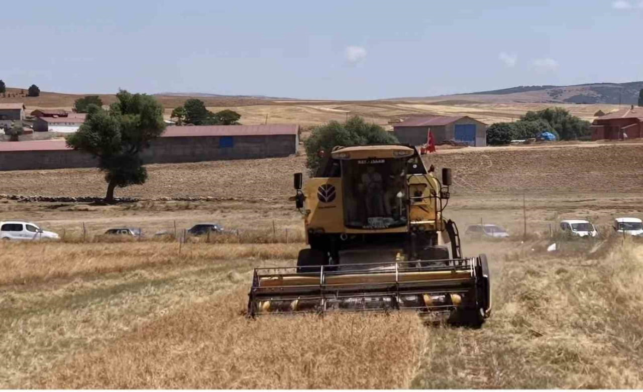 KÜTAHYA’DA BİR İLK: 18 FARKLI NOHUT ÇEŞİDİ AYNI TARLADA TANITILDI