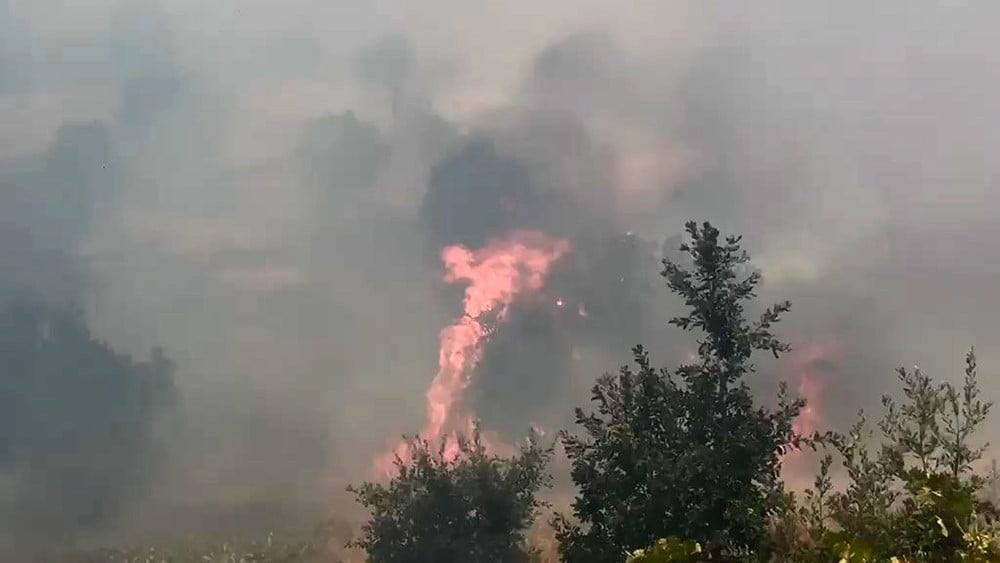 LİCE İLÇESİNDE ÇIKAN ÖRTÜ VE ORMAN YANGININDA GENİŞ ALAN ZARAR GÖRDÜ.