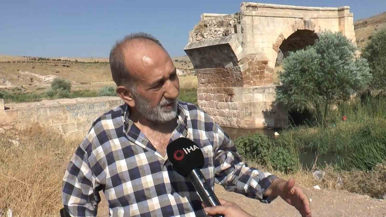 MAHMUT BAZLAMA
