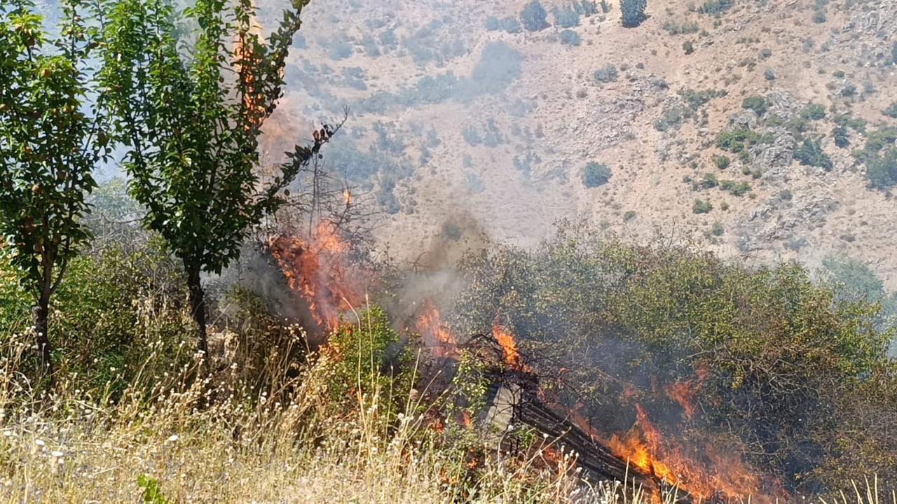 MALATYA'NIN DOĞANŞEHİR İLÇESİNDE ÇIKAN YANGINDA ÇOK SAYIDA MEYVE AĞACI İLE ÜZÜM BAĞI ZARAR...