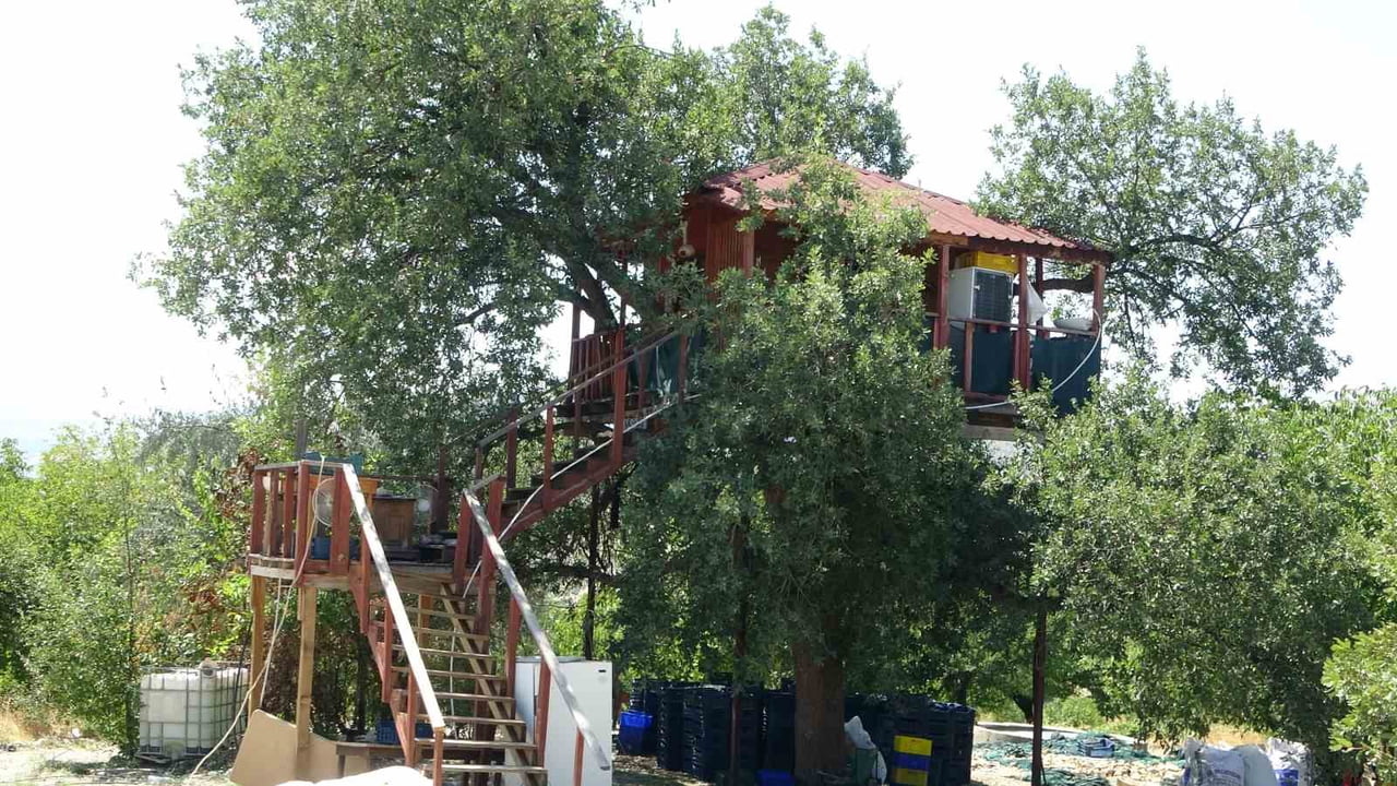 MALATYA'NIN HEKİMHAN İLÇESİNDE EMEKLİ MEMUR MUSTAFA KAHRAMAN, ÇOCUKLUĞUNUN GEÇTİĞİ BAHÇEDEKİ...