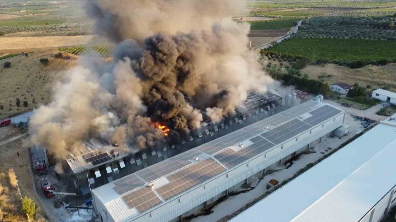 MANİSA'NIN TURGUTLU İLÇESİNDE DLBA'YA AİT YUMURTA ÜRETİM TESİSİNDE ÇIKAN YANGIN, YAKLAŞIK 8...