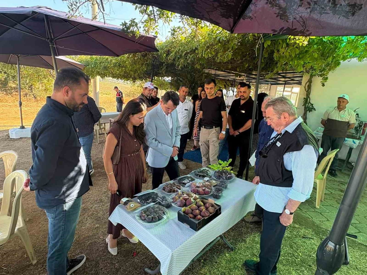 MANİSA’NIN GÖRDES İLÇESİNDE TARIMSAL ÜRETİMİN ÇEŞİTLENDİRİLMESİNE YÖNELİK ÇALIŞMALAR KAPSAMINDA...