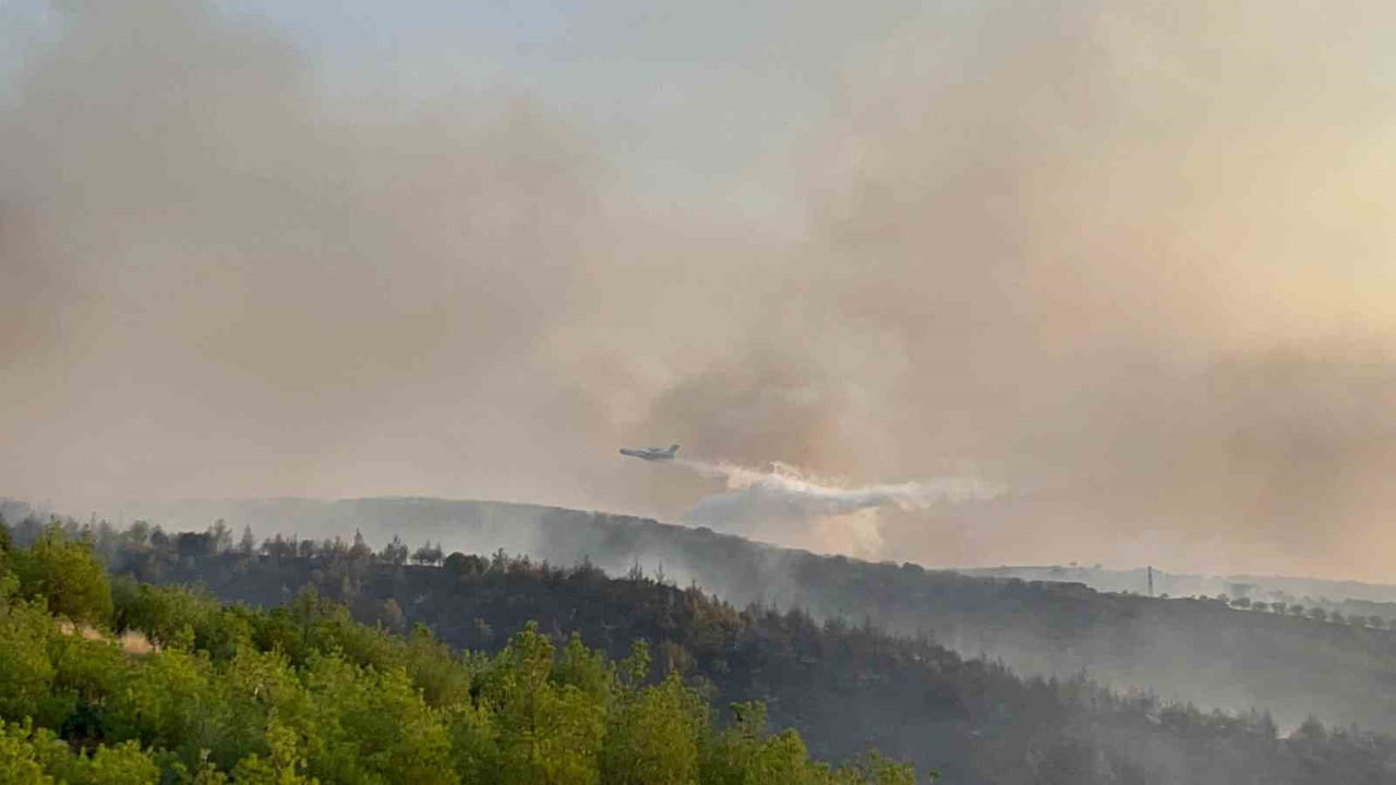 MANİSA’NIN KULA İLÇESİNDE TARIM ARAZİSİNDE BAŞLAYIP ORMANLIK ALANA SIÇRAYAN YANGINA SEVK EDİLEN...