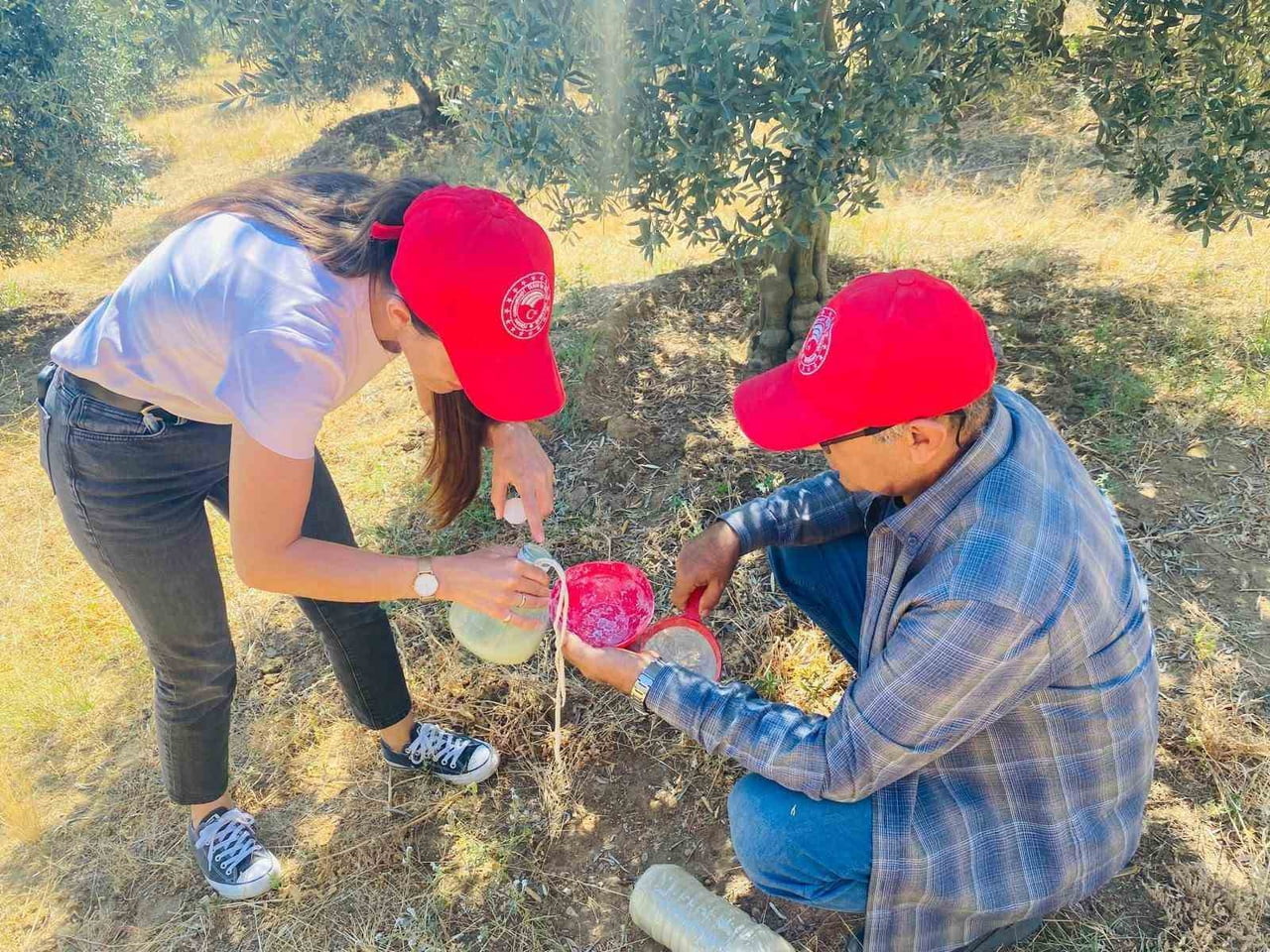 MANİSA’NIN SALİHLİ İLÇESİNDEKİ TARIM VE ORMAN MÜDÜRLÜĞÜ, İLÇEDEKİ ZEYTİN ÜRETİCİLERİNİ ZEYTİN...