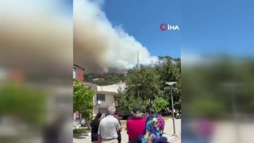 Marmara Adası'nda orman yangını başladı