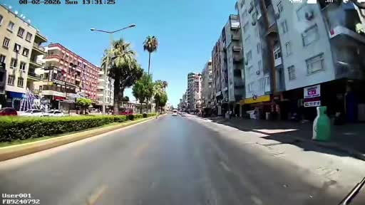 Mersin’de yangında mahsur kalan cennet papağanını itfaiye kurtardı