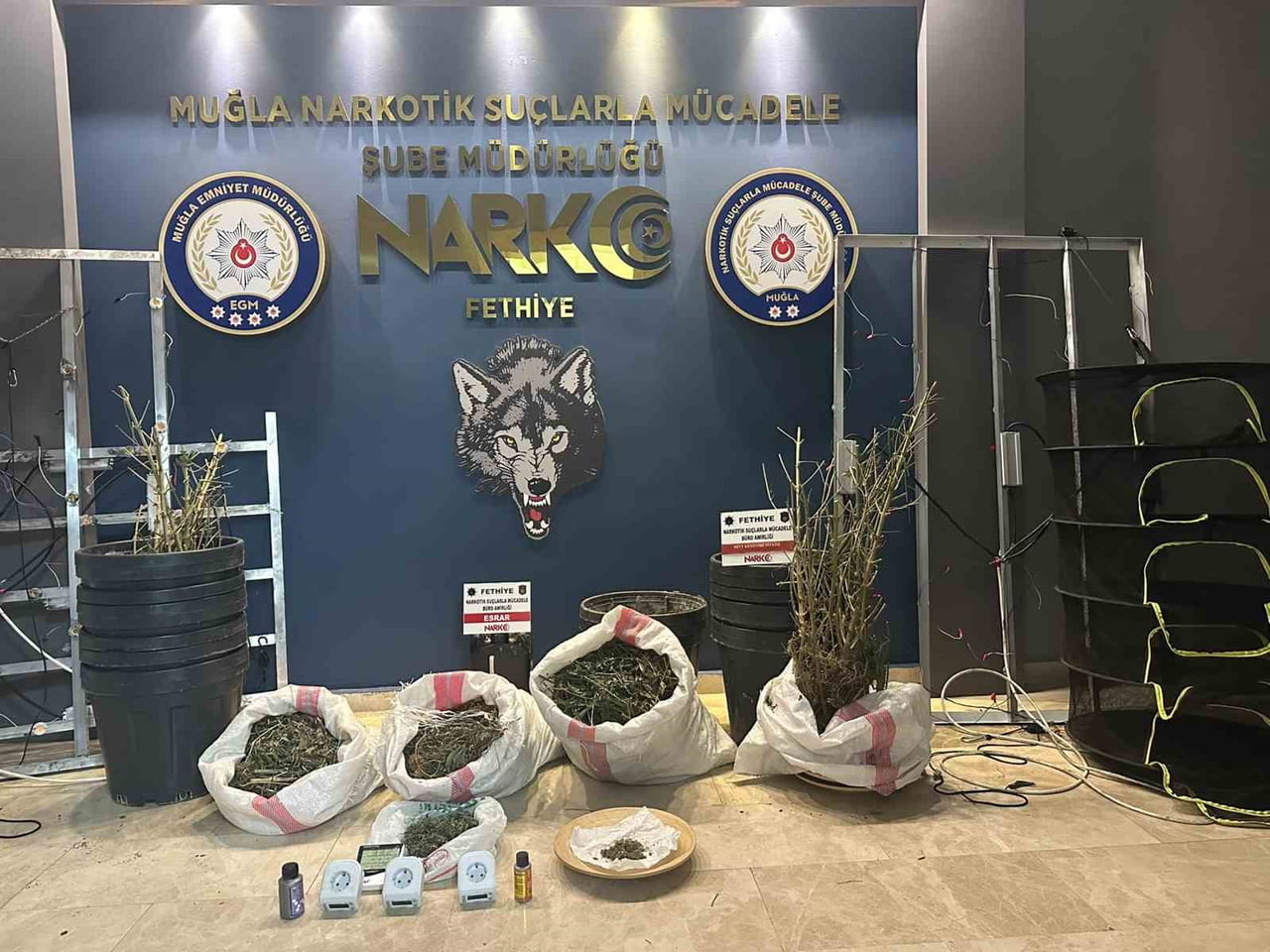 MUĞLA'DA TEMMUZ AYINDA NARKOTİK OPERASYONLARI: 29 TUTUKLAMA