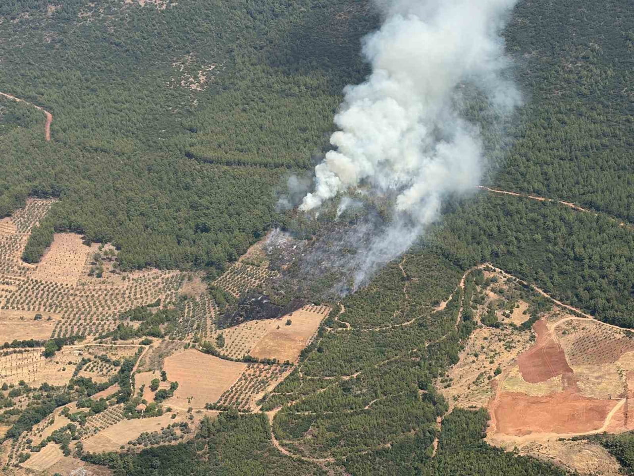 MUĞLA'NIN YATAĞAN İLÇESİNDE ZİRAİ ALANDA ÇIKAN YANGIN ORMANLIK ALANA SIÇRARKEN, ALEVLERİN...