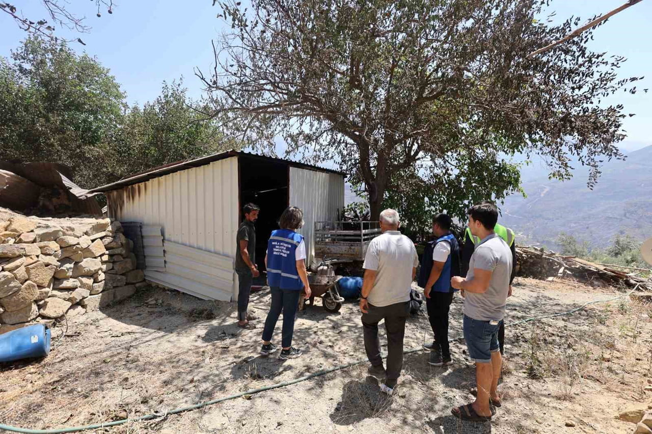 MUĞLA BÜYÜKŞEHİR BELEDİYESİ TARIMSAL HİZMETLER DAİRESİ BAŞKANLIĞI İLE İLÇE HİZMETLERİ 3. BÖLGE...