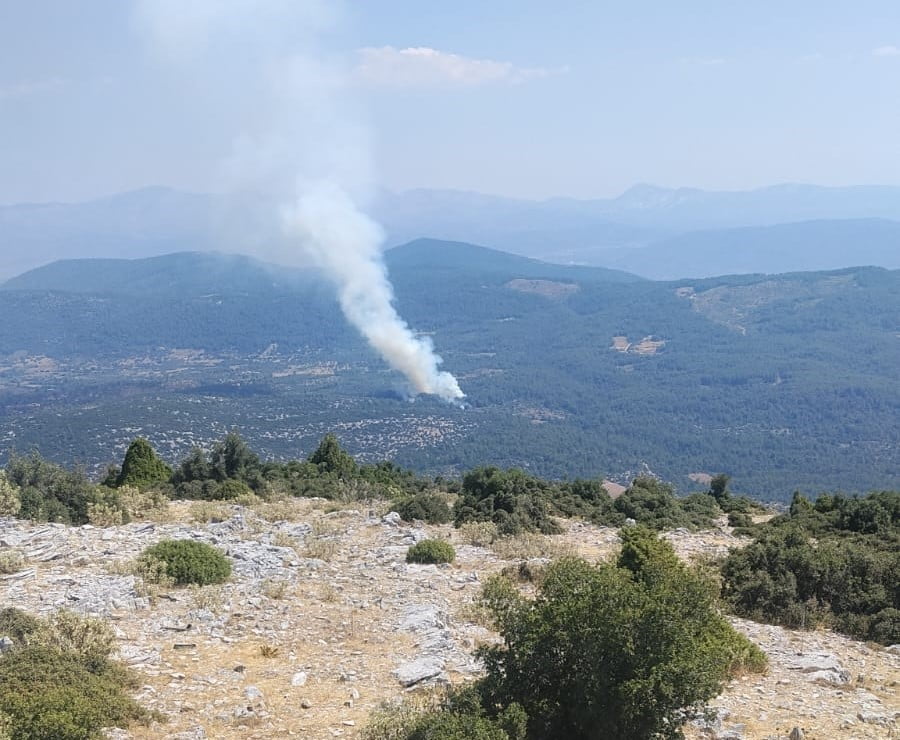 MUĞLA’DA ORMAN YANGINI