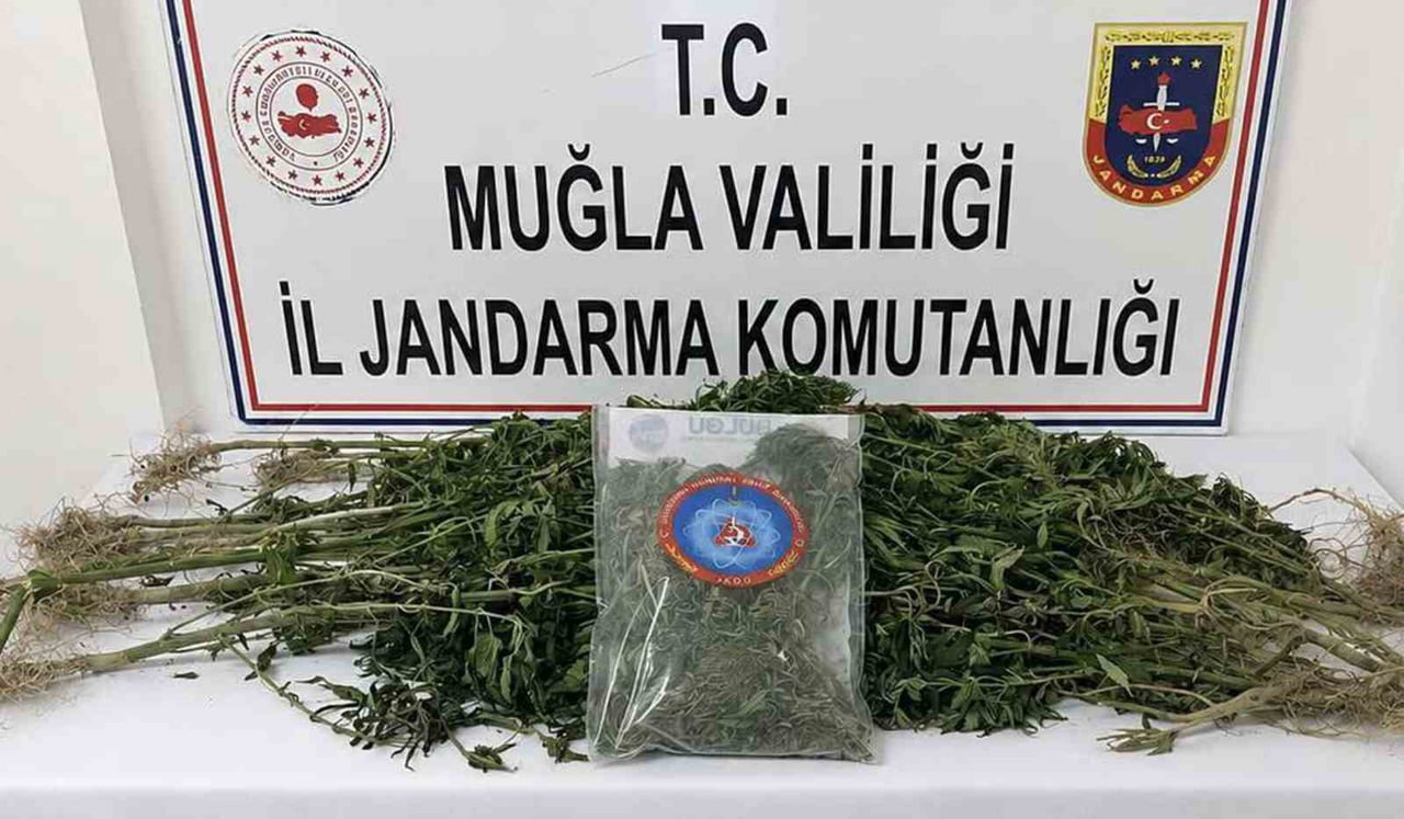 MUĞLA JANDARMASINDAN UYUŞTURUCU TACİRLERİNE OPERASYON: 33 TUTUKLAMA