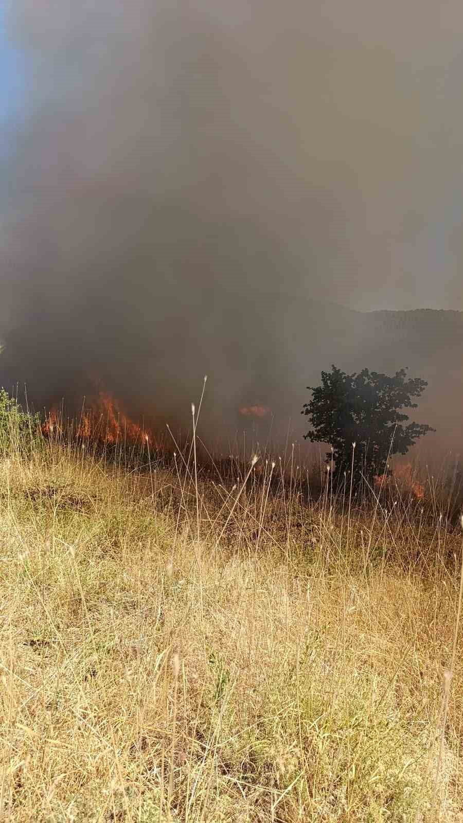 MUŞ MERKEZE BAĞLI ARIKÖY KÖYÜ KIRSALINDAKİ ORMANLIK ALANDA ÇIKAN YANGIN, EKİPLERİN VE...