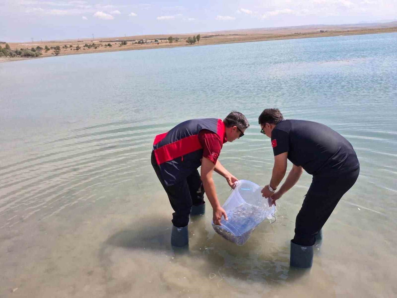 NİĞDE BAHÇELİ GÖLETİ’NE YAVRU SAZAN BIRAKILDI