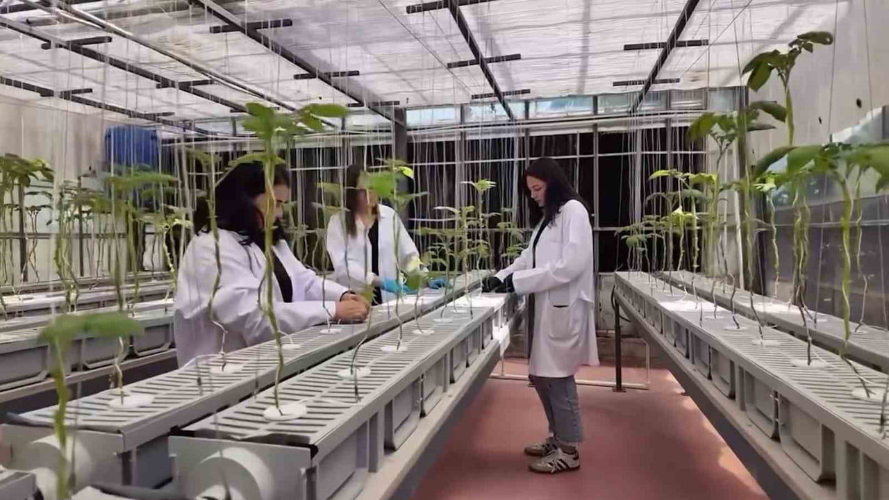 NİĞDE ÖMER HALİSDEMİR ÜNİVERSİTESİ (NÖHÜ) BOR MESLEK YÜKSEKOKULU BÜNYESİNDE EĞİTİM VEREN AKILLI...