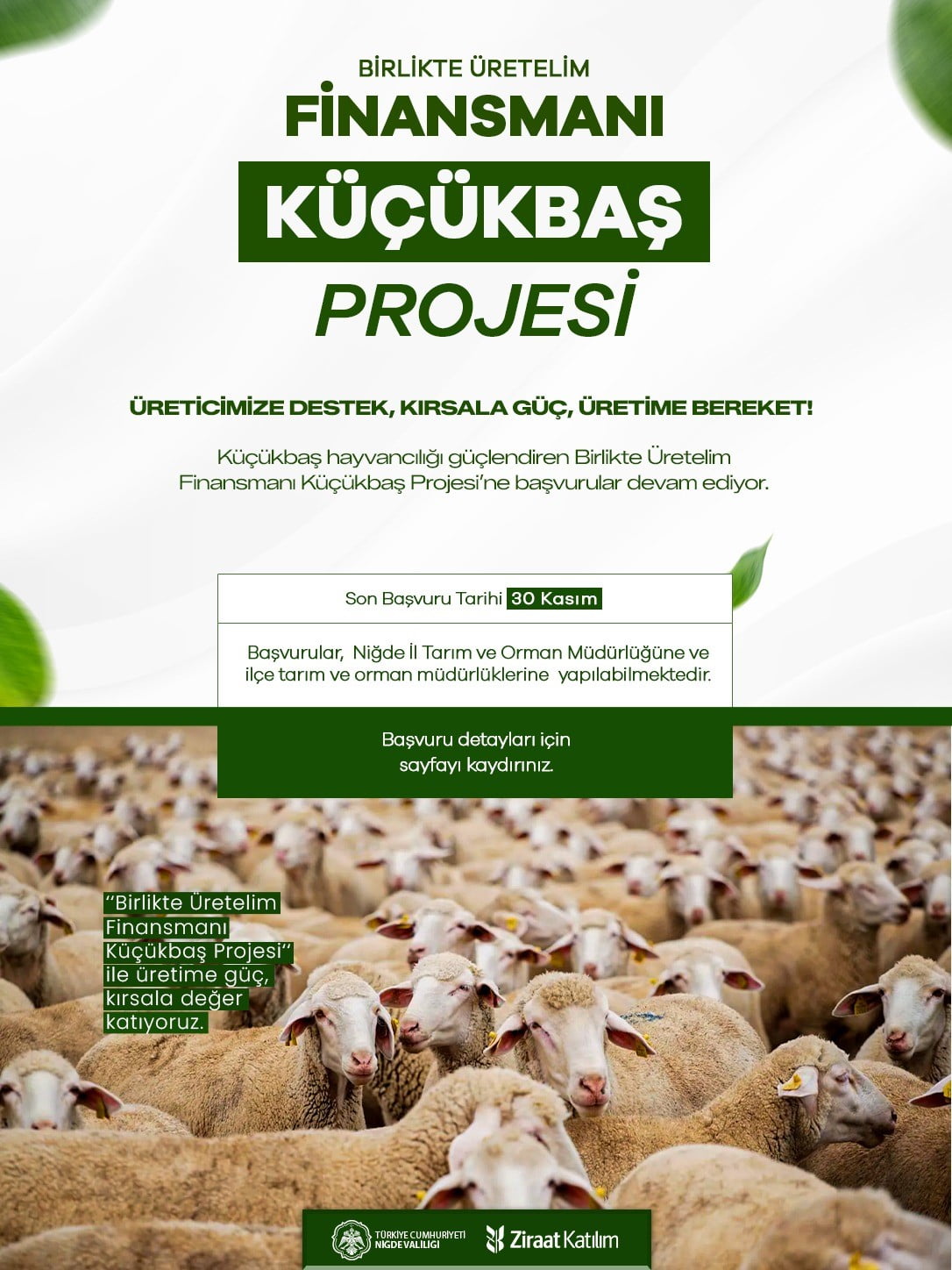 NİĞDE VALİLİĞİ DUYURDU: KÜÇÜKBAŞ HAYVANCILIK PROJESİNE BAŞVURULAR SÜRÜYOR