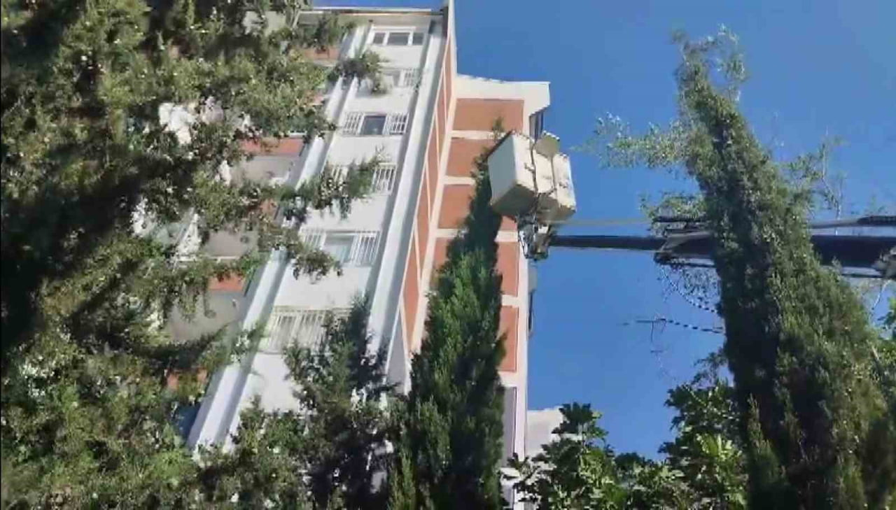 OLAY YERİNE GELEN İTFAİYE EKİPLERİNCE YAPILAN ÇALIŞMALAR SONUCUNDA AĞAÇTA MAHSUR KALAN KEDİ...