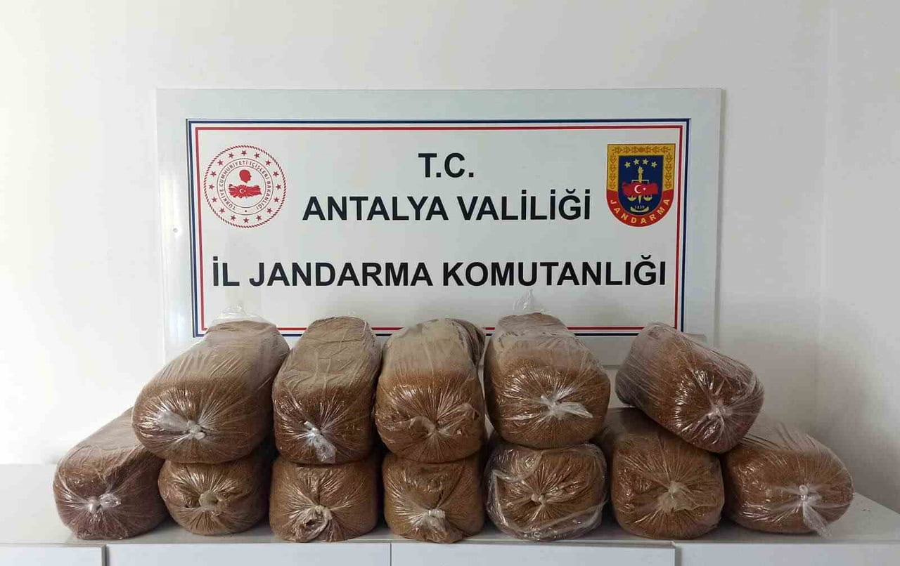 OPERASYONLARDA 785 KİLOGRAM KIYILMIŞ KAÇAK TÜTÜN ELE GEÇİRİLDİ.