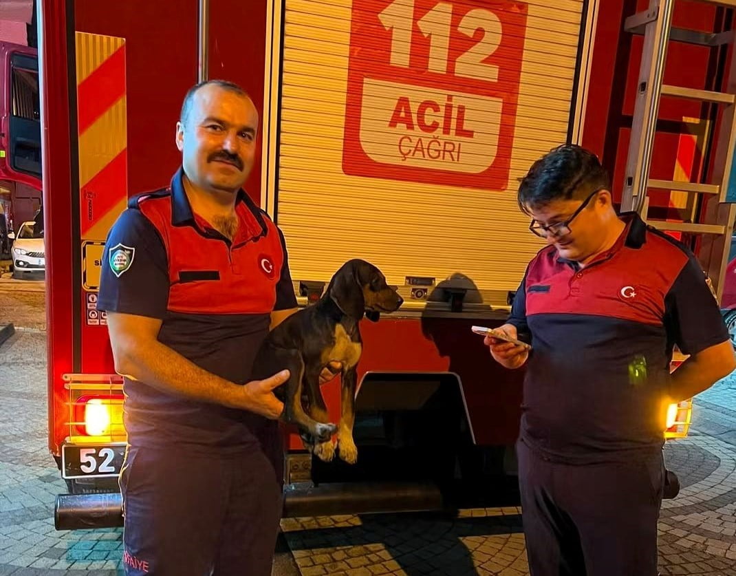 ORDU’NUN KUMRU İLÇESİNDE DEPOYA DÜŞÜP MAHSUR KALAN KÖPEK, İTFAİYE EKİPLERİNİN ÇALIŞMASIYLA...