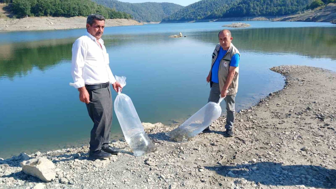 ORHANELİ’DE BULUNAN SULAMA GÖLETLERİNE SAZAN YAVRULARI BIRAKILDI.