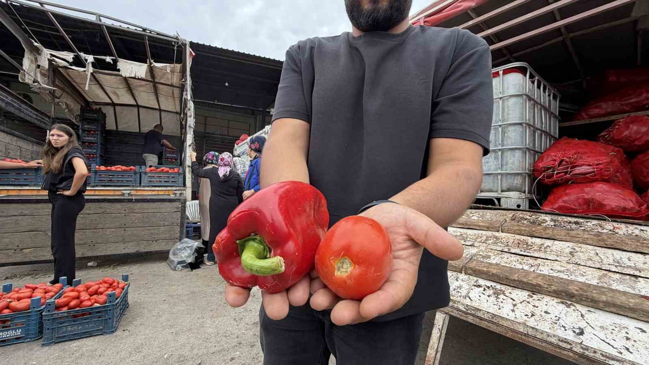 OSMANİYE'DA SALÇA VE KONSERVE MESAİSİ BAŞLADI