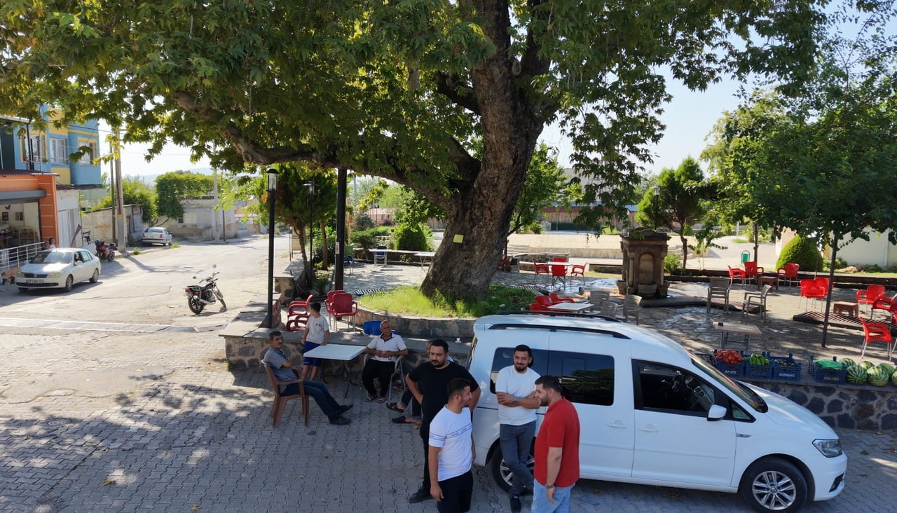 OSMANİYE'DE YAKLAŞIK 260 YILLIK OLDUĞU TAHMİN EDİLEN VE MAHALLENİN SİMGESİ HALİNE GELEN ÇINAR...