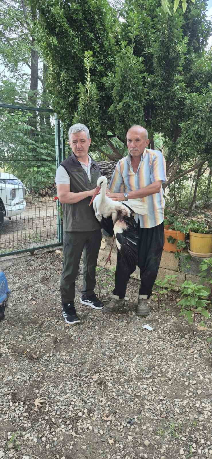 OSMANİYE'NİN DÜZİÇİ İLÇESİNDE EVİNİN ÖNÜNE GELEN KANADINDAN YARALI LEYLEĞE SAHİP ÇIKAN VATANDAŞ...