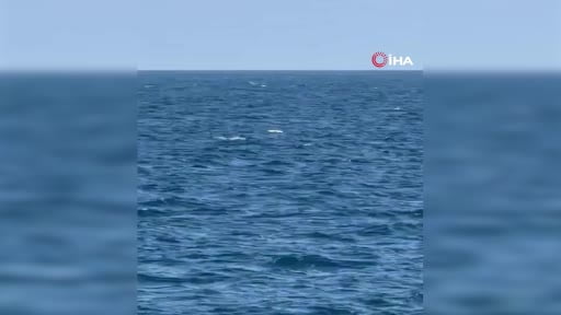 Romanya ordusu, ülkenin Karadeniz'deki münhasır ekonomik bölgesinde Neptun Deep açık deniz doğal...