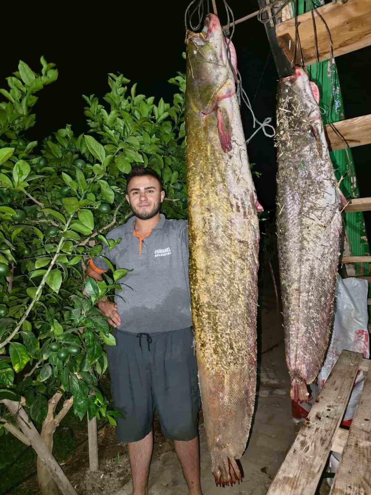 SAKARYA NEHRİ’NDEN 34 KİLOLUK DEV YAYIN ÇIKTI