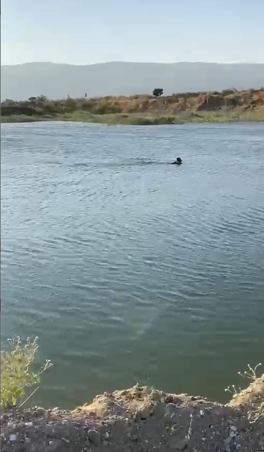 SAKARYA’NIN PAMUKOVA İLÇESİNDE ARKADAŞIYLA SERİNLEMEK İÇİN SAKARYA NEHRİ KENARINDA BULUNAN GÖLETE...
