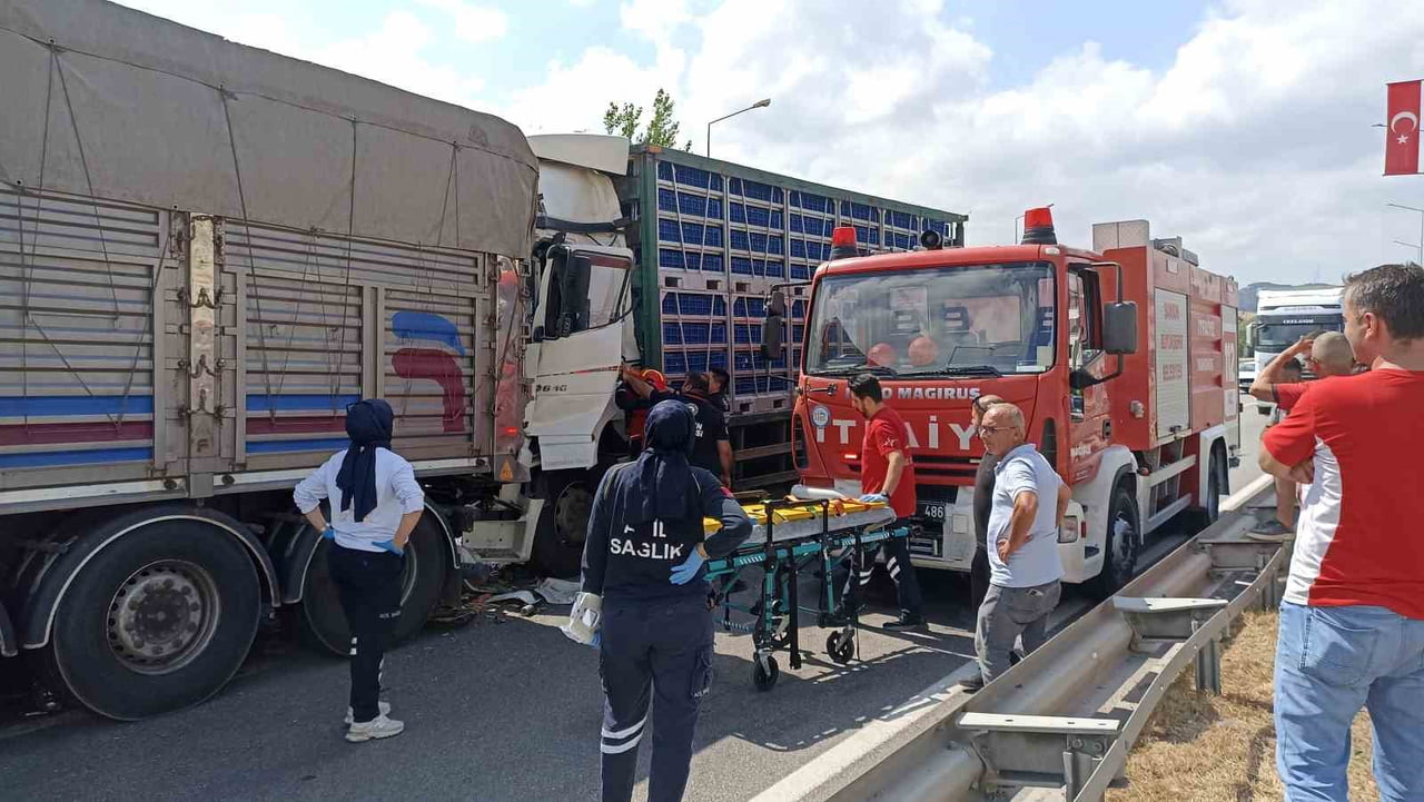SAMSUN'UN HAVZA İLÇESİNDE CANLI TAVUK YÜKLÜ TIRIN ÖNÜNDEKİ KAMYONA ÇARPTIĞI KAZADA 2 KİŞİ...