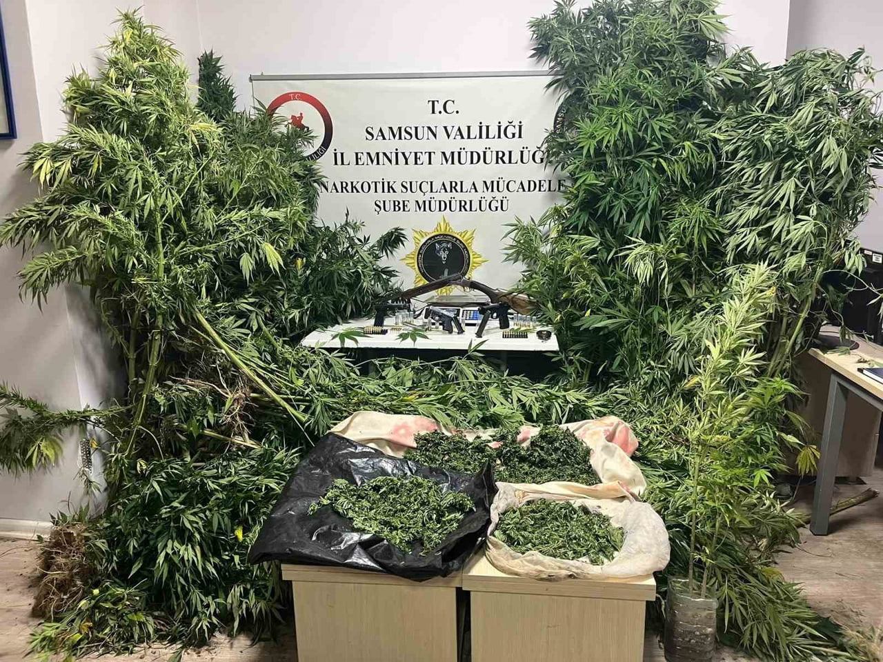 SAMSUN’UN BAFRA İLÇESİNDE POLİS EKİPLERİNCE YÜRÜTÜLEN ÇOK YÖNLÜ ÇALIŞMALAR SONUCU, TÜTÜN...