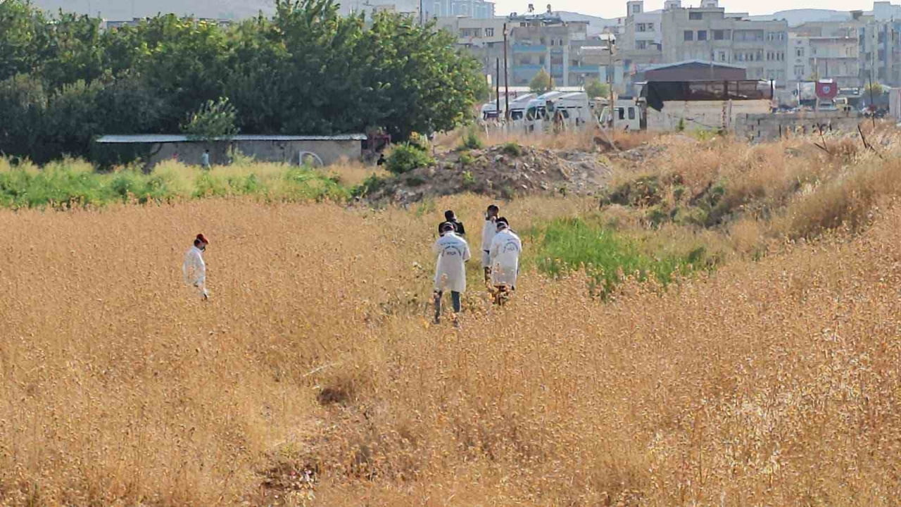 ŞANLIURFA'DA TARLADAN GELEN KÖTÜ KOKULAR ÜZERİNE BÖLGEYE GİDEN VATANDAŞLAR, BOŞ ARAZİDE BİR ERKEK...