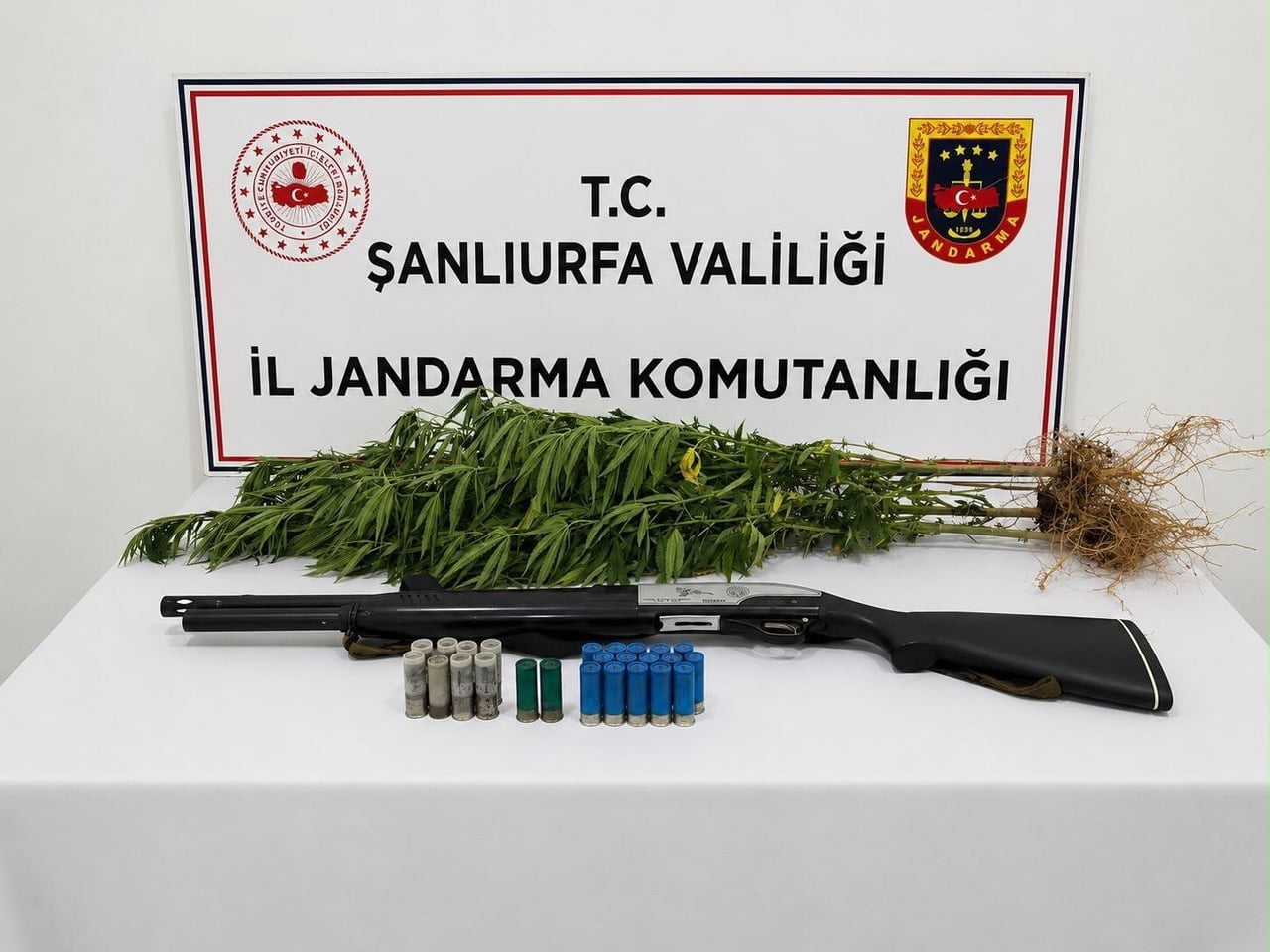 ŞANLIURFA'DA UYUŞTURUCU MADDE ELE GEÇİRİLDİ: 1 GÖZALTI