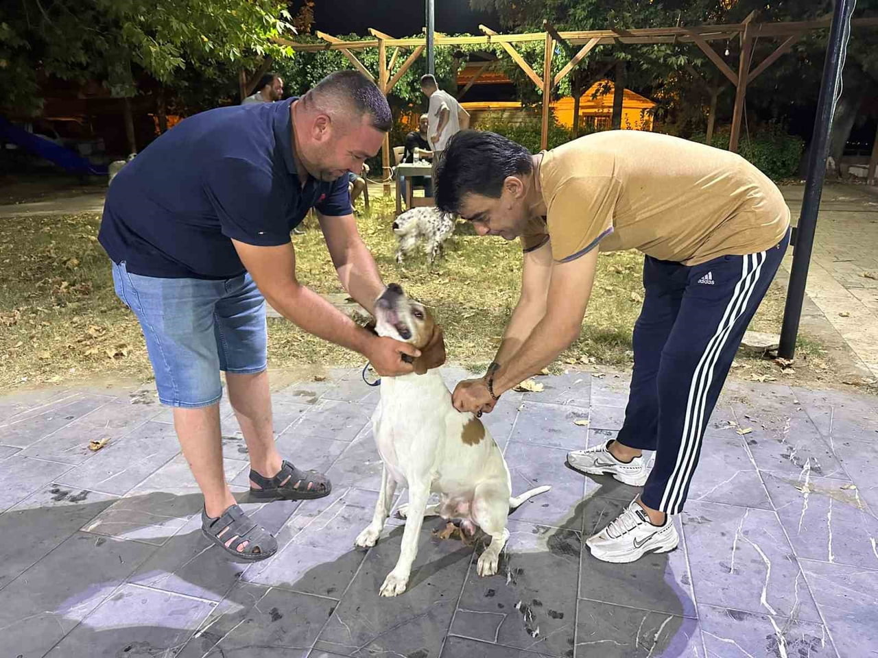SARIGÖL AVCILIK VE ATICILIK SPOR KULÜBÜ ÖNCÜLÜĞÜNDE BAŞLATILAN ÇALIŞMA KAPSAMINDA, ÇİPLİ AV...